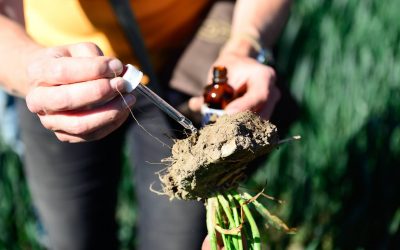 Bodenfruchtbarkeit und Wasserschutz